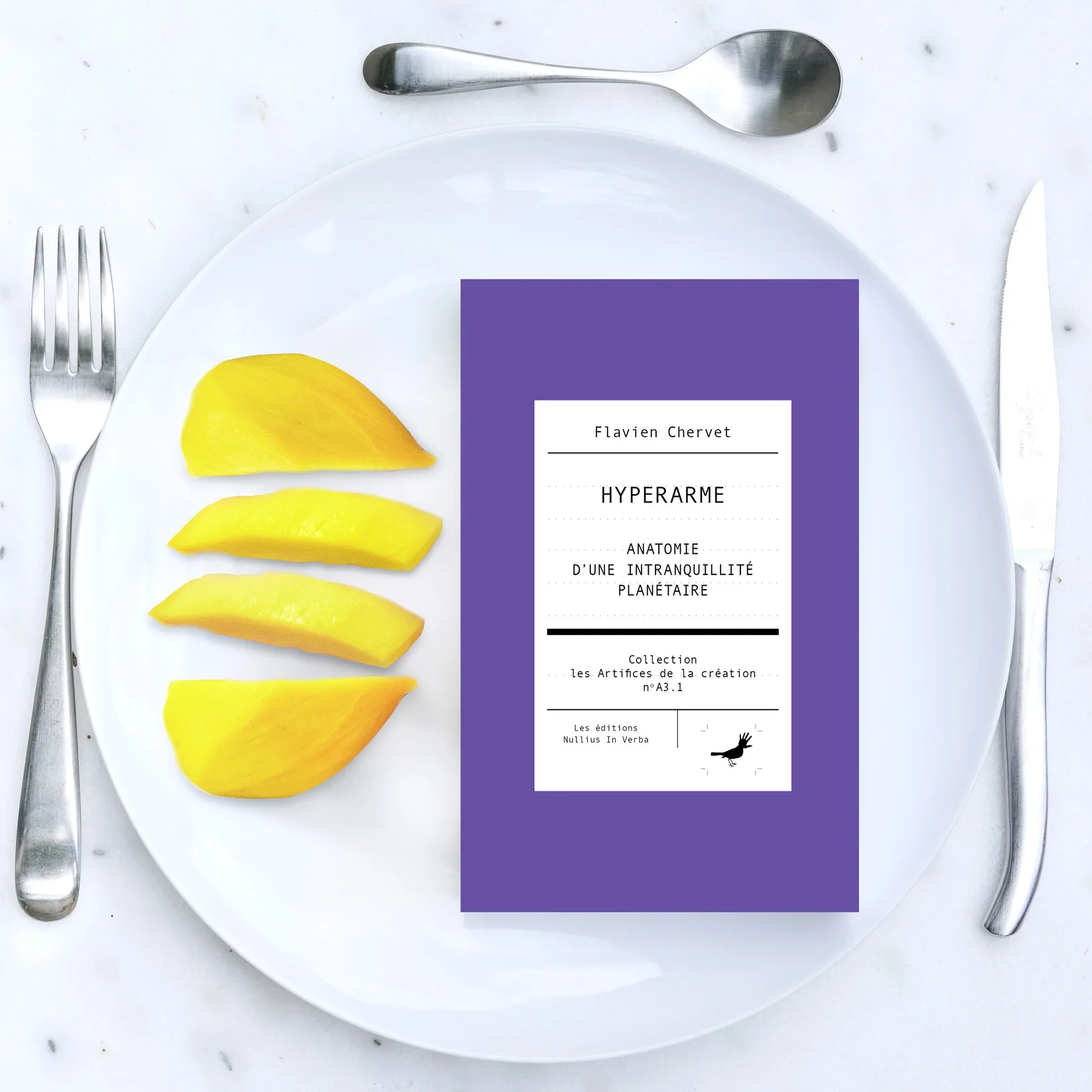 Hyperarme — Anatomie d'une intranquillité planétaire